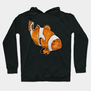 Clownfish - Nemo Hoodie